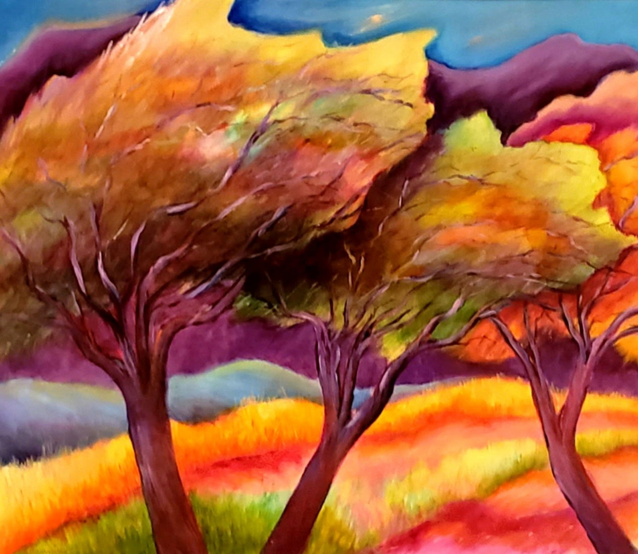 Tree Shadows
